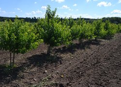 Щорічний традиційний огляд дослідів кафедр
